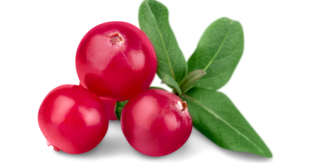 Cranberry Herbal Remedy