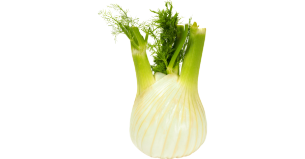 Fennel