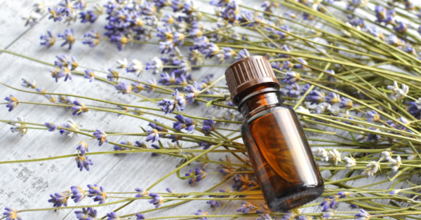 Lavender Essential Oil