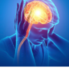 Exploring New Insights: Migraines and Dietary Links Explored Further