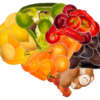 Parkinson’s Disease – The impact of whole plant food on brain health