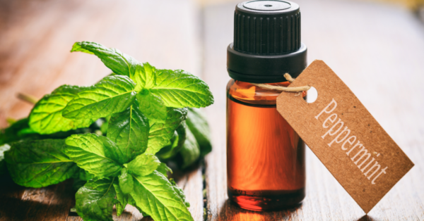 Peppermint Essential Oil